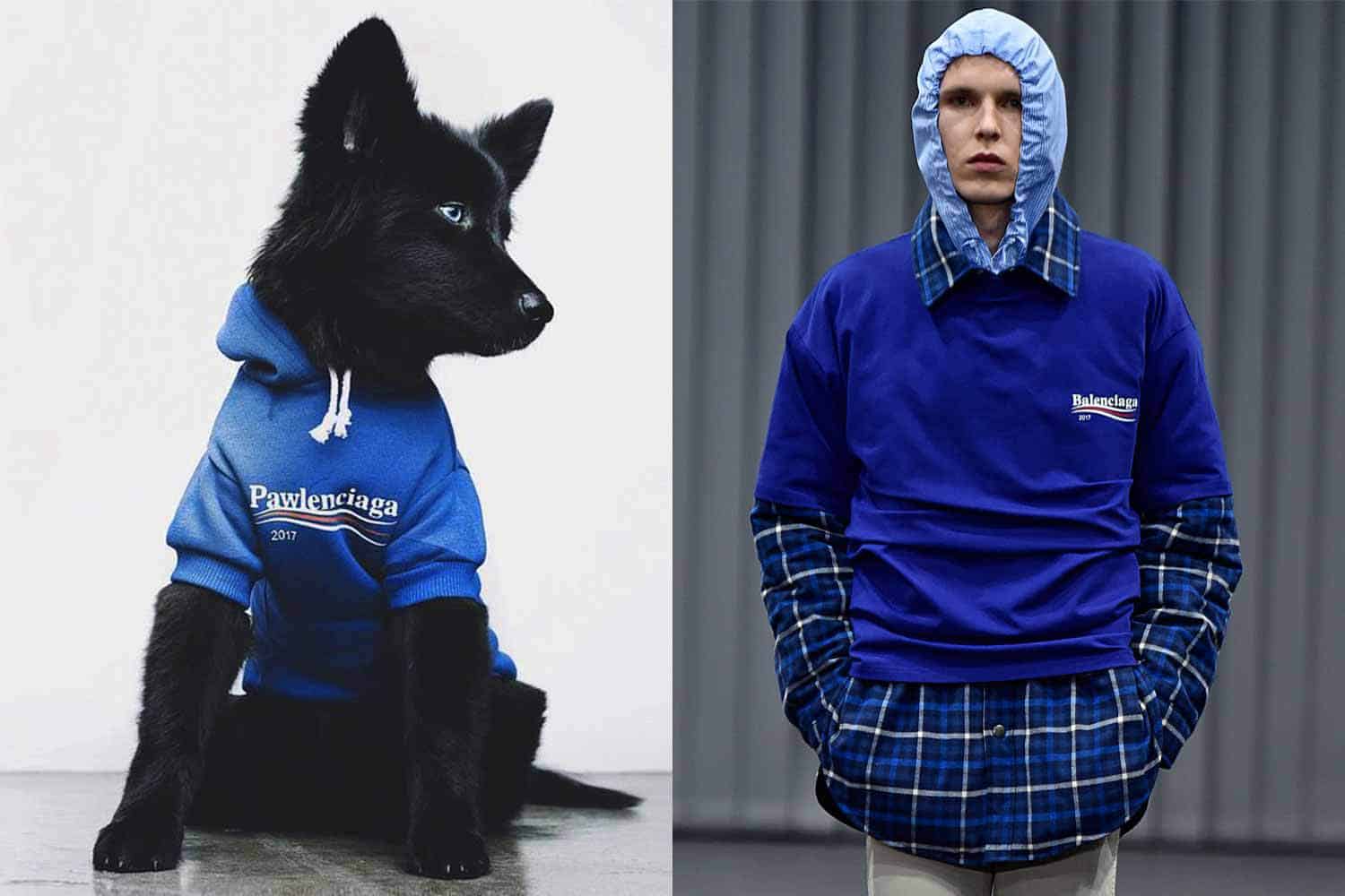 Balenciaga Takes Legal Action Against Pet Company, Yoox to Launch Clothing Line